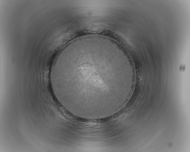 X0000091930745200709121558