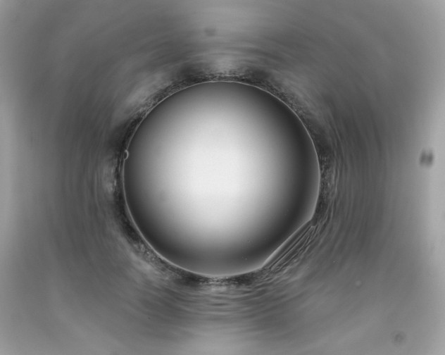 X0000091930746200709121558