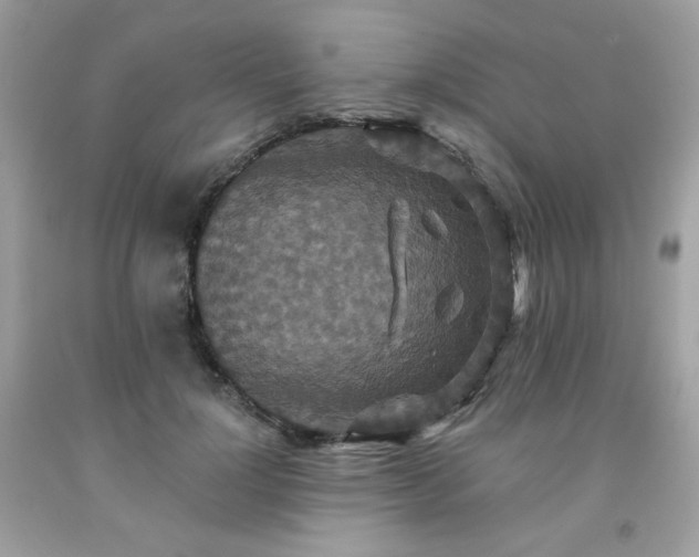 X0000091930748200709121558
