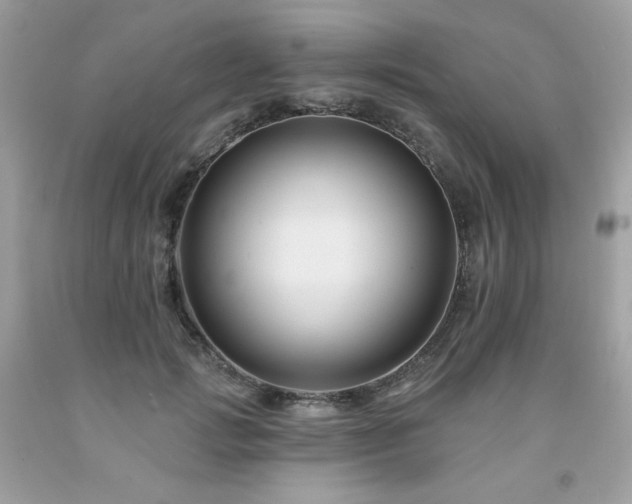 X0000091930749200709121558