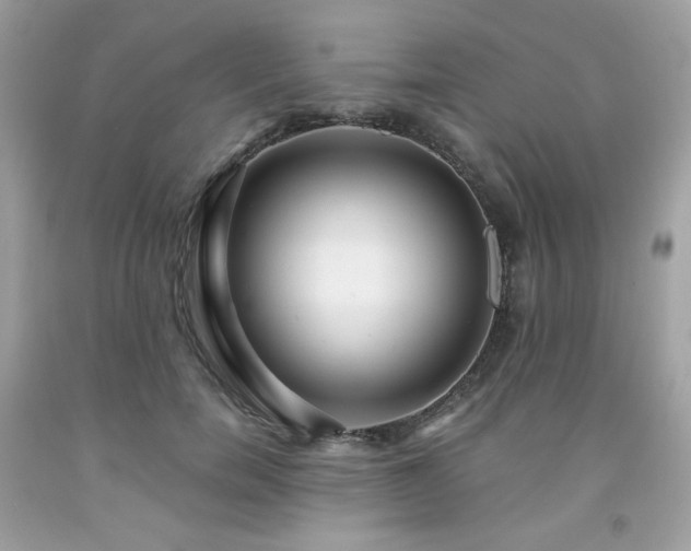 X0000091930750200709121558