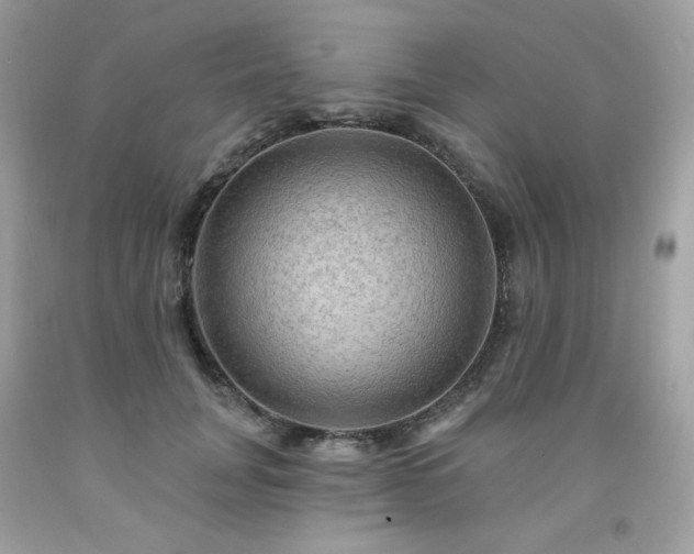 X0000091930751200709121558