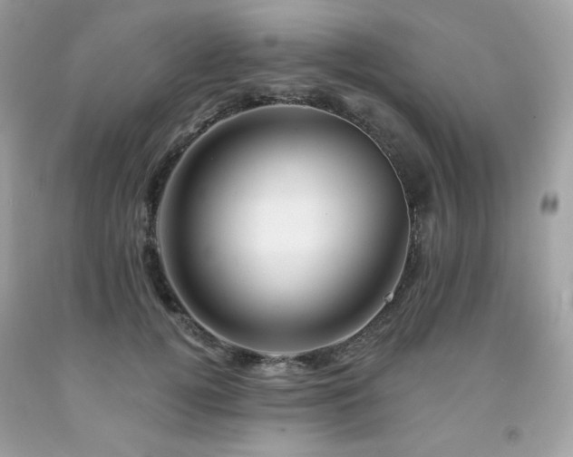 X0000091930752200709121558