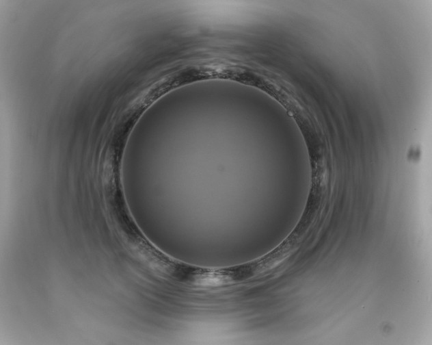 X0000091930754200709121559