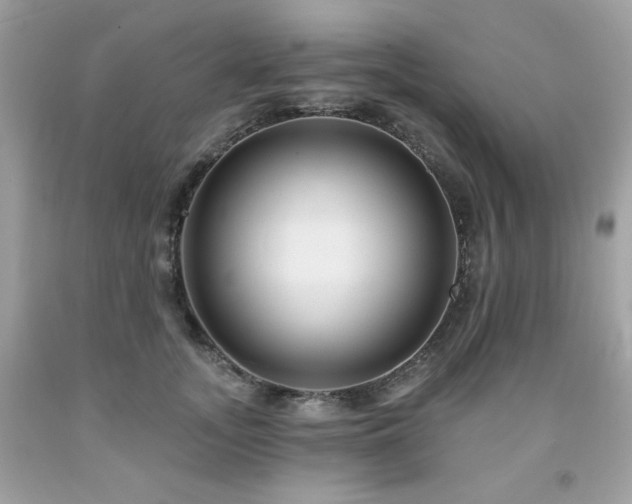 X0000091930755200709121559