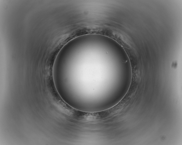 X0000091930756200709121559