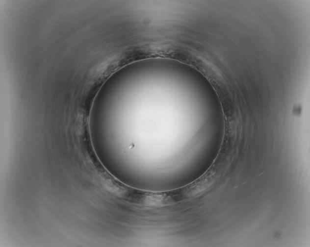 X0000091930757200709121559