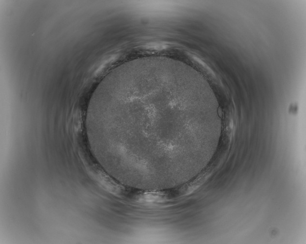 X0000091930758200709121559