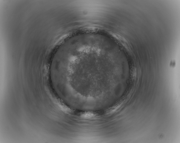X0000091930759200709121559