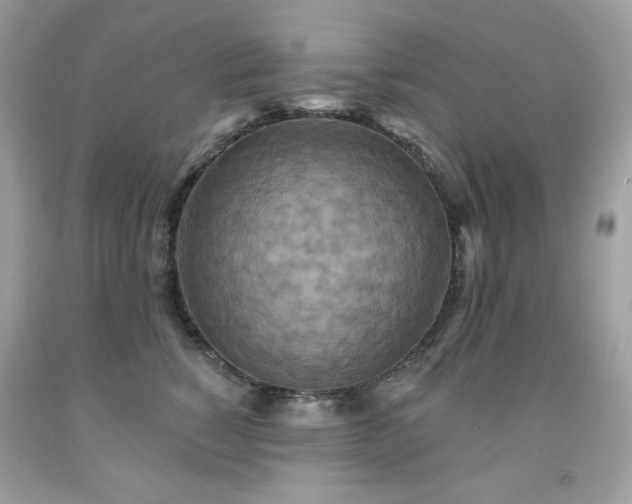 X0000091930760200709121559