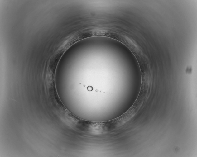 X0000091930761200709121559