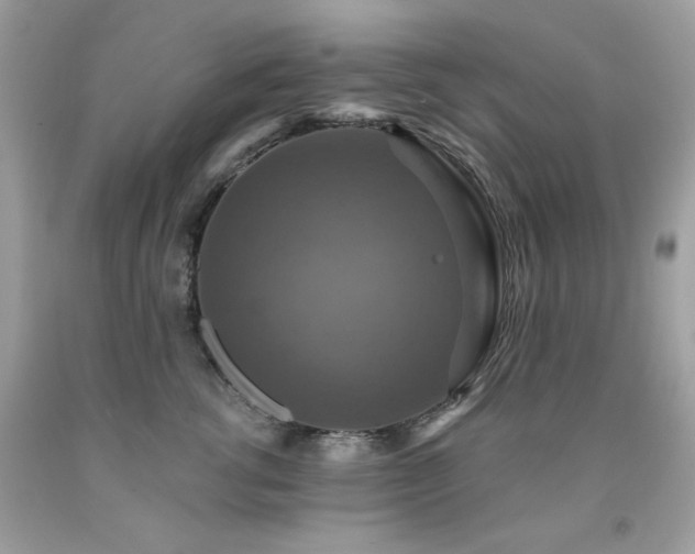 X0000091930762200709121559