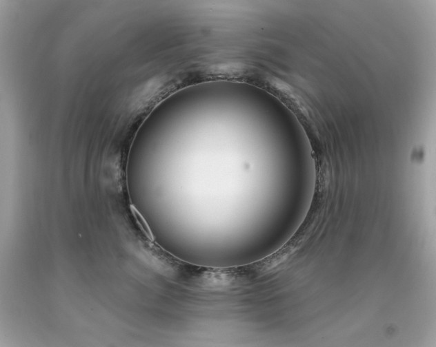X0000091930764200709121559
