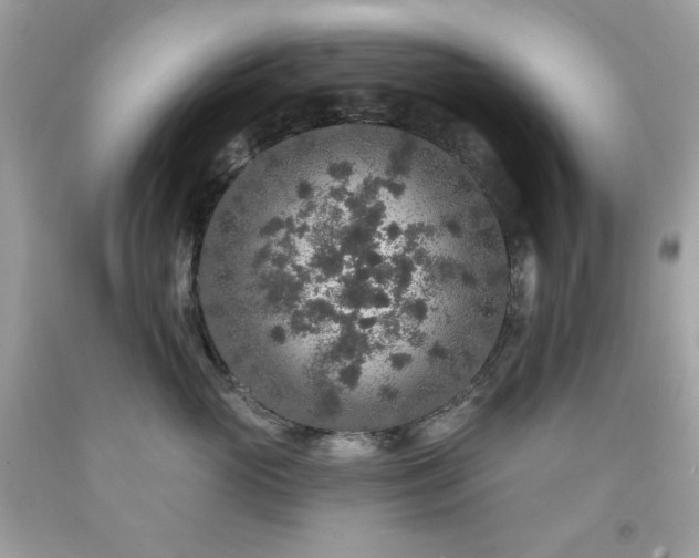 X0000091930765200709121559