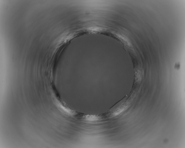 X0000091930766200709121559