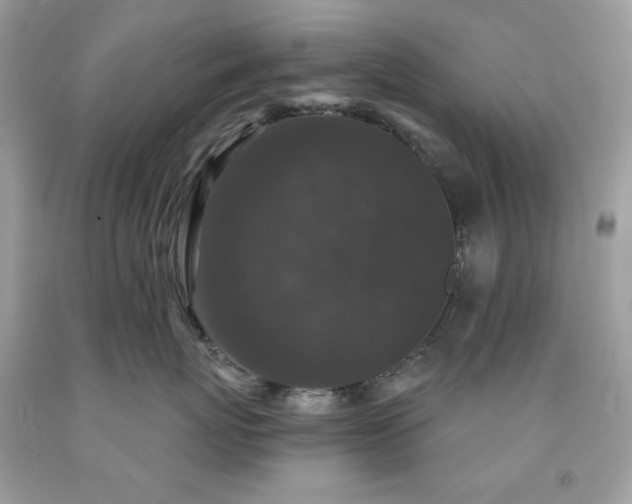 X0000091930767200709121559