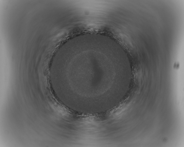 X0000091930769200709121558