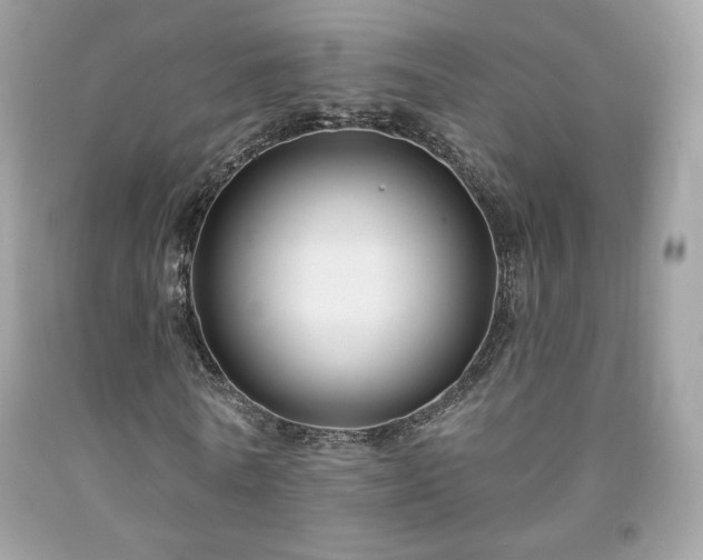 X0000091930770200709121558