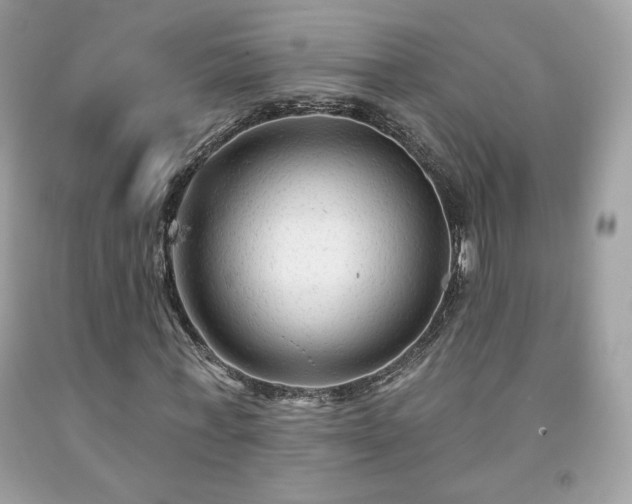 X0000091930771200709121558