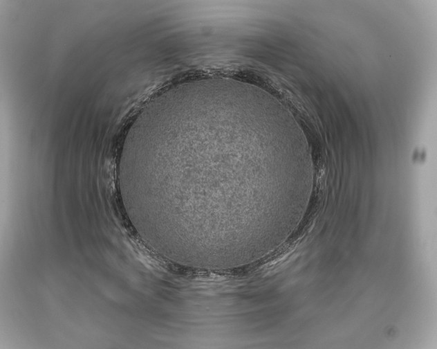 X0000091930772200709121558