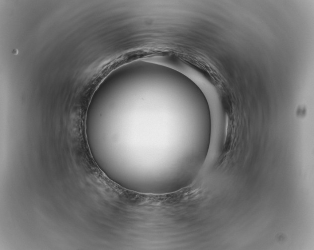 X0000091930773200709121558