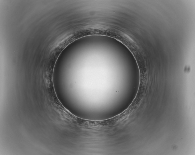 X0000091930774200709121558