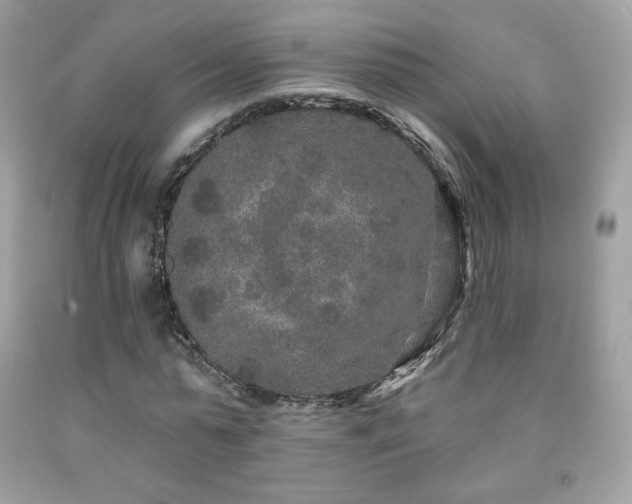 X0000091930775200709121558