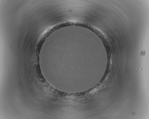 X0000091930776200709121558