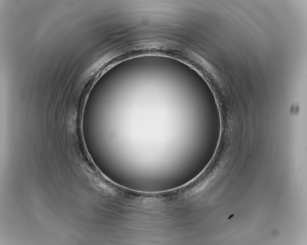 X0000091930778200709121558
