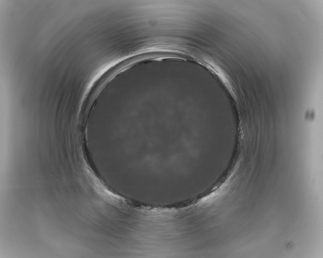 X0000091930779200709121558