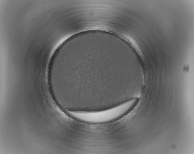 X0000091930780200709121558