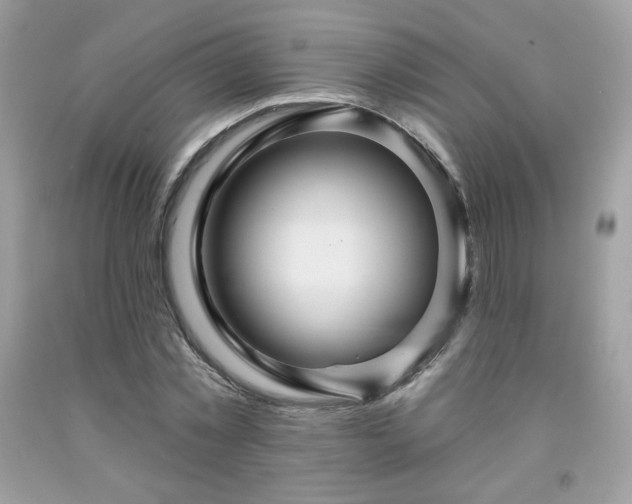 X0000091930781200709121558