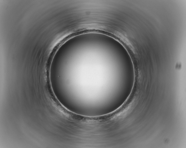 X0000091930782200709121558