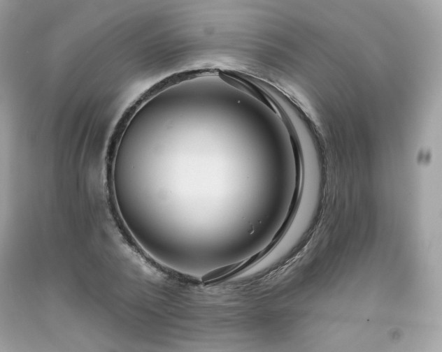 X0000091930784200709121558