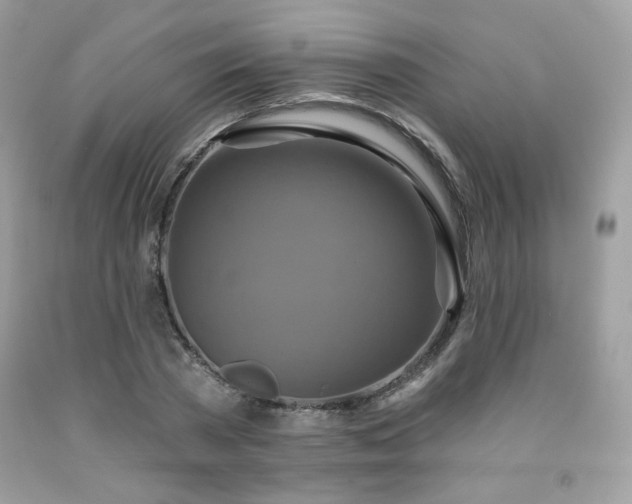 X0000091930785200709121558