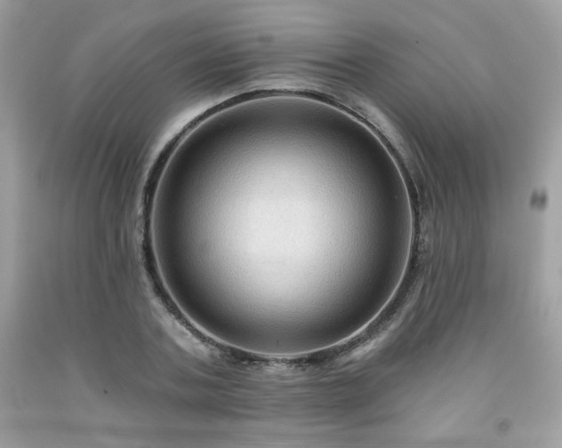 X0000091930787200709121558
