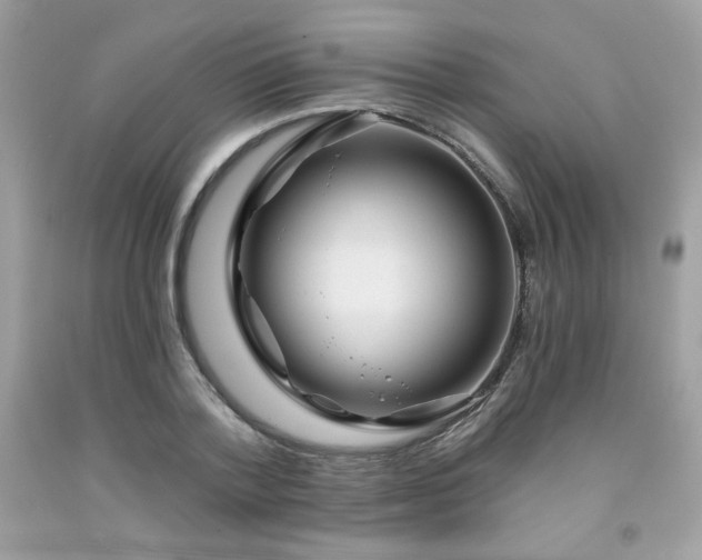 X0000091930788200709121558
