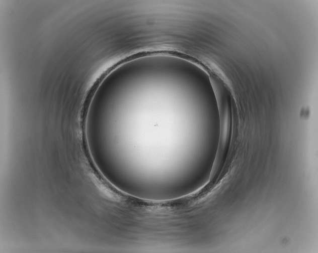 X0000091930789200709121558
