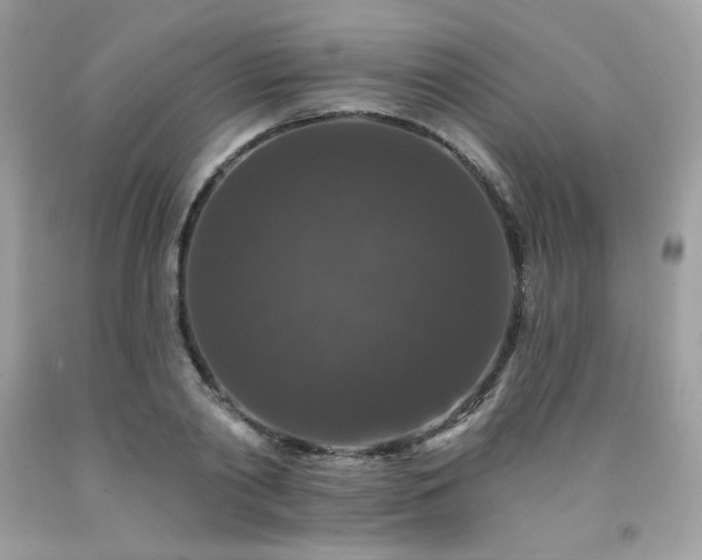 X0000091930790200709121558
