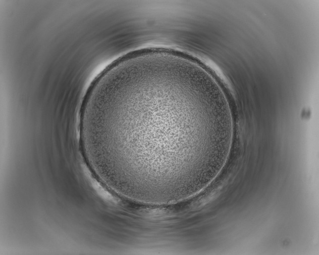 X0000091930791200709121558