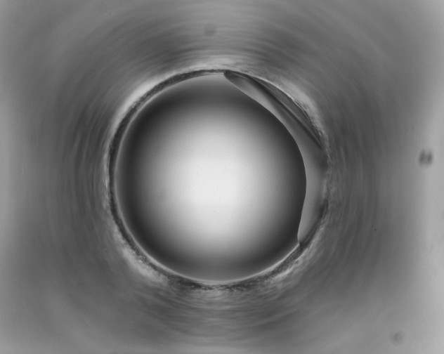 X0000091930792200709121558