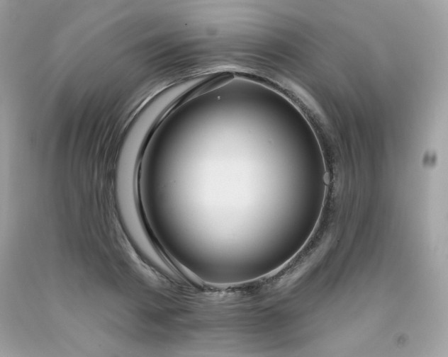 X0000091930793200709121558