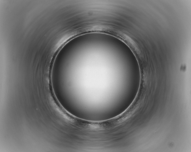 X0000091930794200709121558