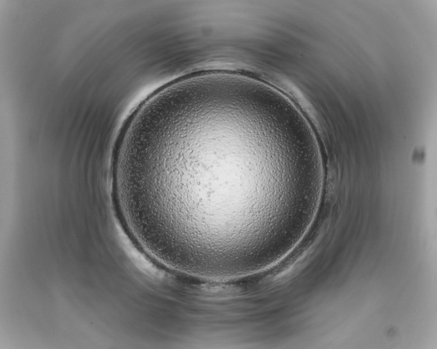 X0000091930795200709121558