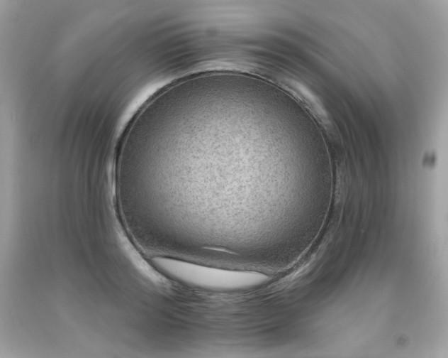 X0000091930796200709121558