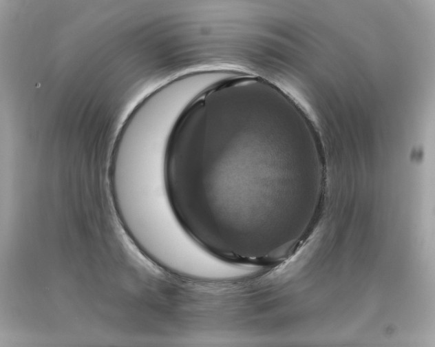 X0000091930797200709121558