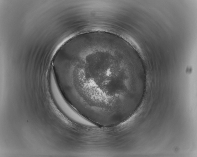 X0000091930798200709121558