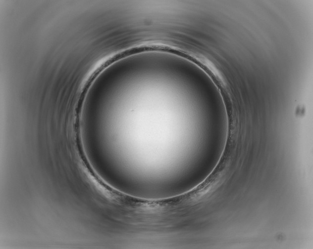 X0000091930799200709121558