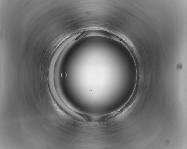 X0000091930801200709121558
