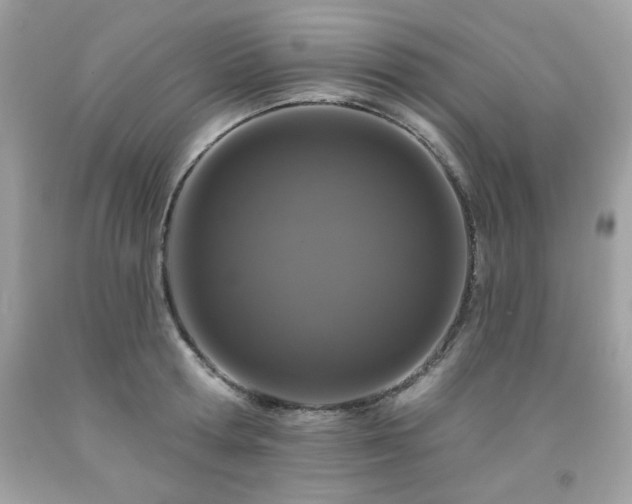 X0000091930802200709121558
